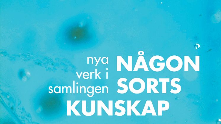 Maria Hedlund, ur serien Någon sorts kunskap 1 (detalj), 2014, Göteborgs konstmuseum