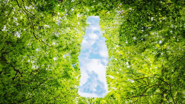 Sinebrychoffista on tullut ensimmäinen Coca-Colaa hiilineutraalisti valmistava yritys maailmassa, kun yhtiö on saavuttanut vuodelle 2030 asettamansa tavoitteen olla hiilineutraali juomatalo.