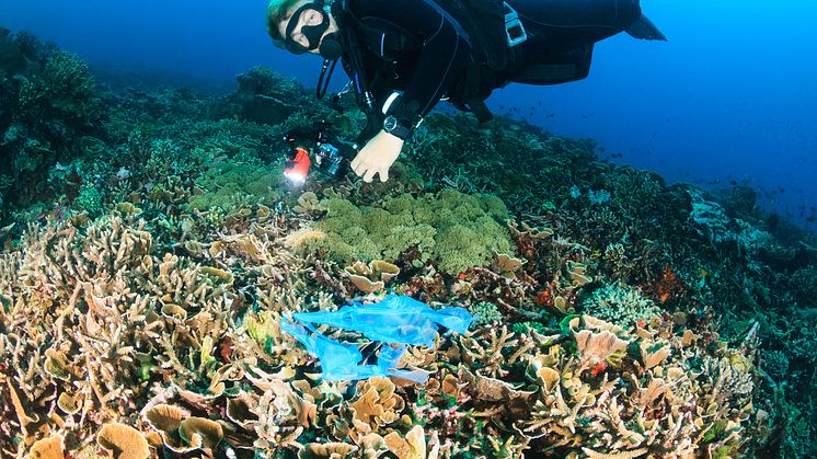 Plastics pollution of our oceans has reached a stage where over 70% of deep sea fish have ingested plastic, according to new scientific research