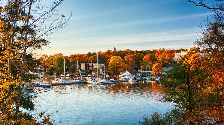 Rekordmånga båtar till salu efter en sommar i Sverige