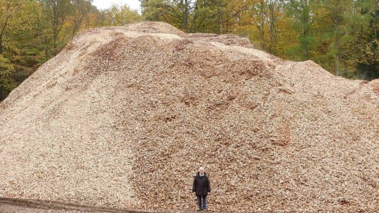 Flismaskinen kører for fuld kraft i de danske skove og problemerne med biomasse vokser