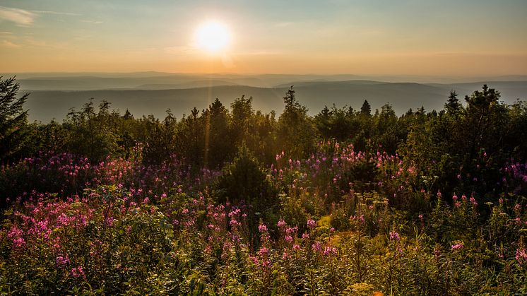 Sunset from Fichtelberg 1215 meters above sea level near Oberwiesenthal (1)_Foto_TVE-Greg_Snell_snellmedia.com.jpg