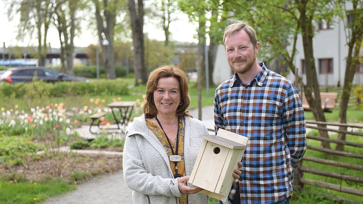 Fågelholkar för biologisk mångfald