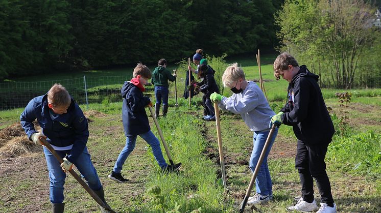 Louisenlund macht mit bei der Landwirtschaft der Zukunft