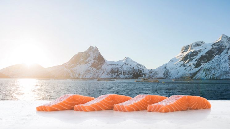 Strongest ever July for Norwegian seafood exports