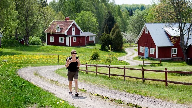 Vandring i södra Småland