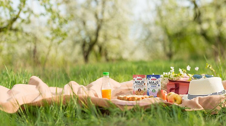 Picknick med Majskakor Blåbär och Kanelbulle