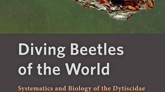 Bokomslag Diving Beetles of the World