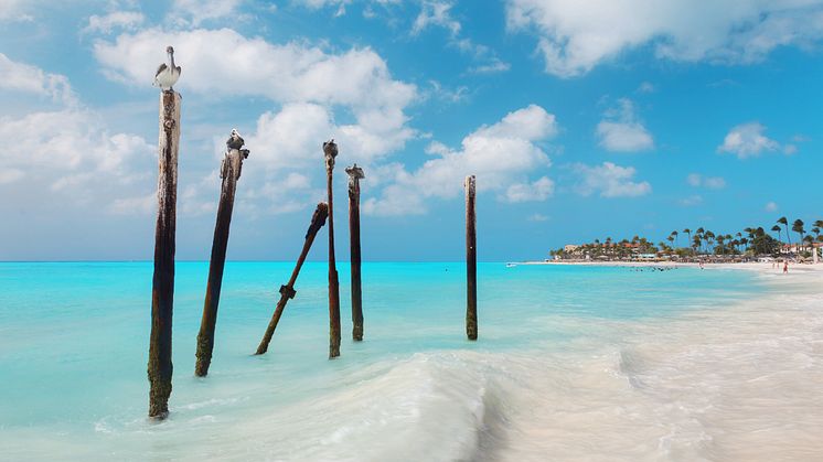 Aruba ligger i hjärtat av Karibien och är mest känt för de fantastiska stränderna.
