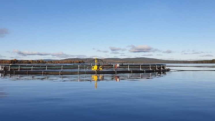 Innovationsprojekt inom vattenbruk