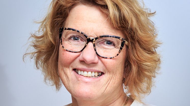 Lena Malm , chef för samhällsavdelningen