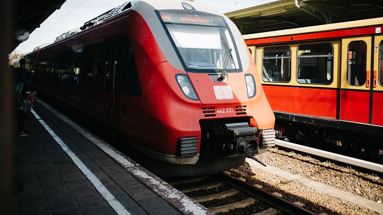 Mit dem 9-Euro-Ticket kann man im Sommer kostengünstig durch Brandenburg reisen und Ausflüge unternehmen. Foto: TMB-Fotoarchiv/Steven Ritzer. 