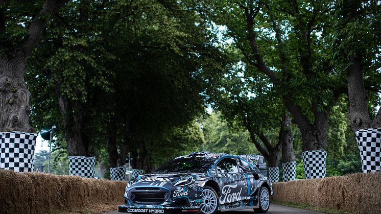 Ford_Puma-Rally1-WRC-Prototype_9.jpg