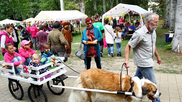 3. September: Tag der offenen Tür im Kinderhospiz Bärenherz Leipzig