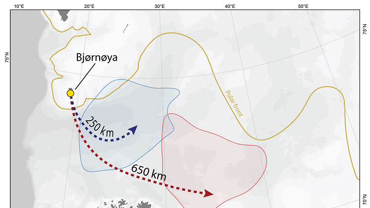 blog map