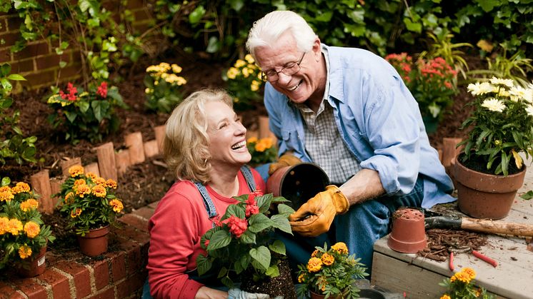 Ade hektischer Alltag: Gartenarbeit kann ein toller Ausgleich sein. Jedoch kann die Pflege von Beeten und Co. auch belastend für den Rücken und die Gelenke sein. / Bild: iStock 665623672 
