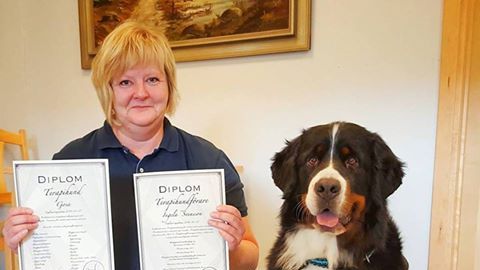 Gosa har fått diplom efter genomförd utbildning och kan kalla sig terapihund. Matte Ingela Svensson och Gosa jobbar i Sjöbo kommuns HUR-grupp.