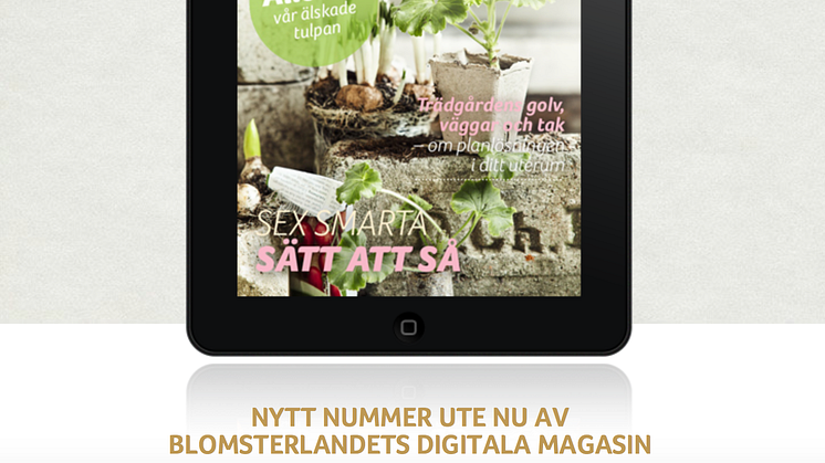 Nytt nummer Blomsterlandets digitala magasin!