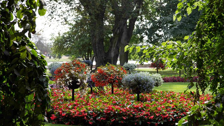 En av vandringarna sker genom Stadsparken, som är gestaltad utifrån trädgårdskonsten i 1800-talets Europa
