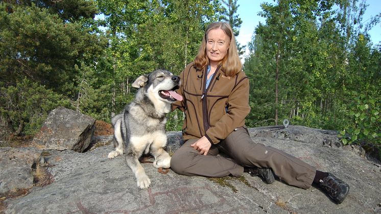 JÄGARNAS RIKSFÖRBUND instämmer med riksdagsledamoten Staffan Danielsson (C) i att allemansrätten måste diskuteras och regelverken anpassas till dagens samhällsglobalisering.