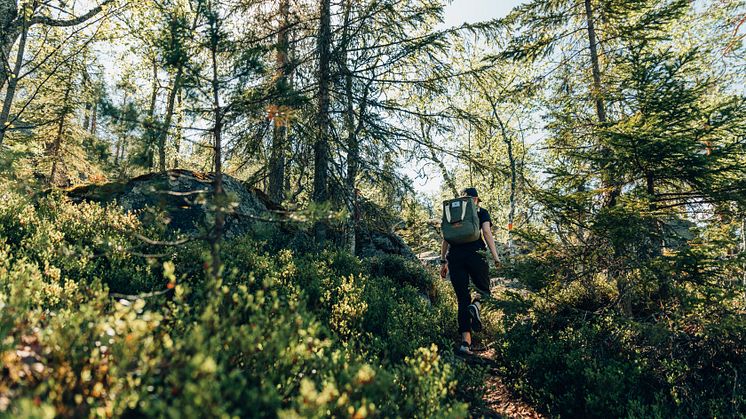 Tavelsjöleden förlängs österut. Foto: Visit Umeå