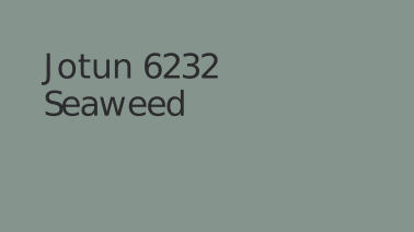 6232 Seaweed