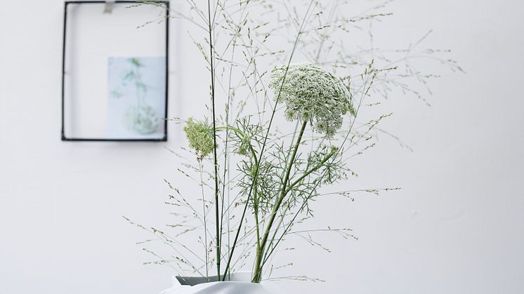 The Squall vase was designed by Cédric Ragot. 