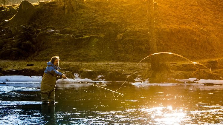 Flugfiskeprofilen visade vägen till Crambys fiskburgare