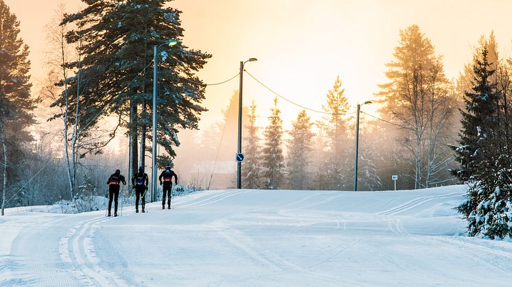 Nå tilbyr Trysil et av Skandinavias beste langrennsprodukter. 