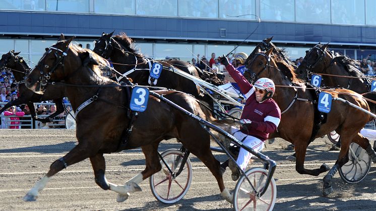 Elitloppsvinnaren Commander Crowe tävlar i Finland