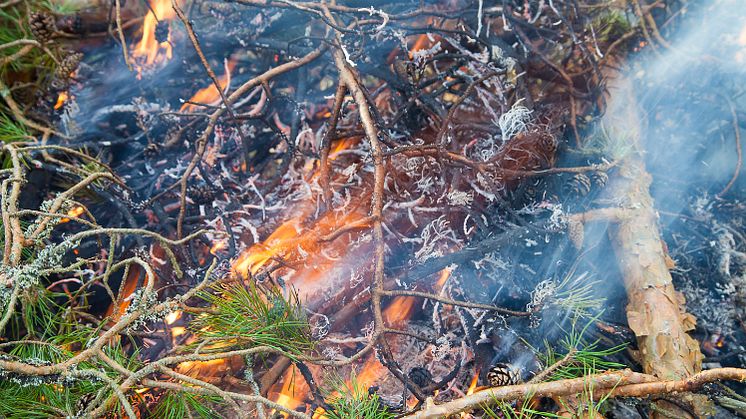 Därför bränner Länsstyrelsen på Kalvö mitt under rådande eldningsförbud