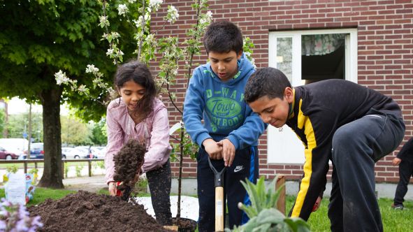 Barnen på Linnea fritids odlar och planterar runt om i Rosengård. De har varit med och skapat den nya botaniska trädgården i Örtagård som invigs den 14 september.