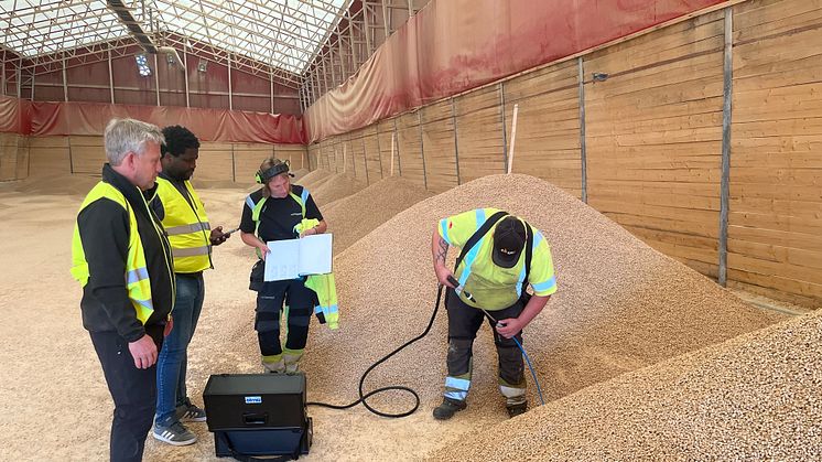 Projektdeltagare från Solör Bioenergi och Karlstads universitet på plats i pelletsfabriken i Älvdalen. Foto: Solör