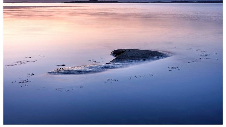 “She came to me in silence, her immense weight buoyed by the ocean below, the bulk of her under surface, as love often is, breathing in and out the molecules of remembrance”. Foto: Mattias Marklund