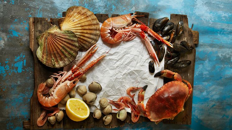 Michelin stars shine on shellfish from Norway
