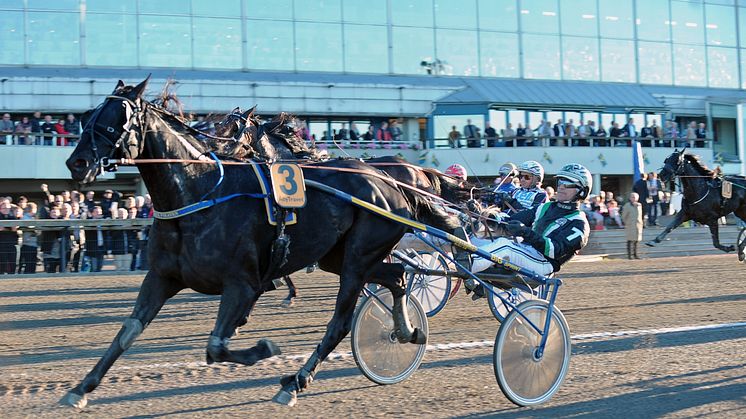 Lördag: V75 och sju SM-lopp på Åbytravet