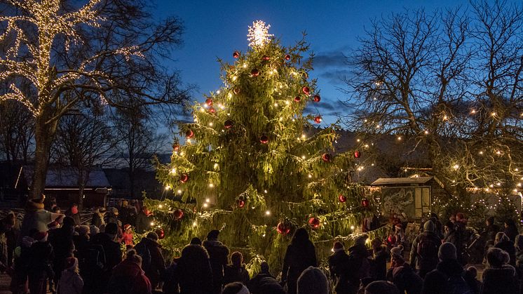 Skånes Djurpark bjuder in till Djurens Jul - en gnistrande vinterupplevelse för hela familjen. Från den 2 till den 30 december, varje lördag, söndag samt under mellandagarna.