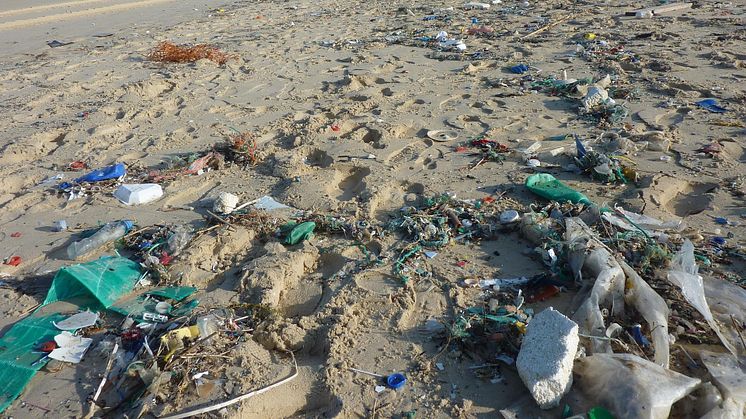 Marin nedskräpning är ett av vår tids största miljöproblem och plast är ett av de vanligaste sortens skräp i haven. FanpLESStic är ett nytt projekt, som ska arbeta med att förebygga och förhindra utsläpp av mikroplaster. Foto: Pixabay