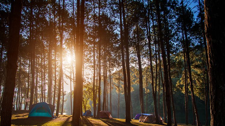 Camping i Søhøjlandet