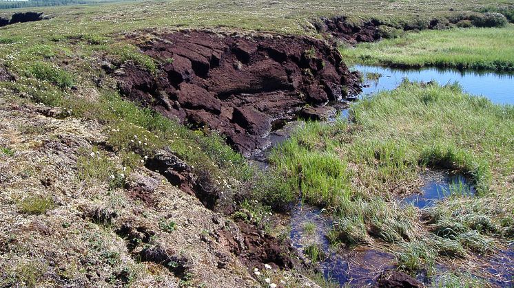 Tinande permafrost och markkollaps i Ryssland. Foto: Gustaf Hugelius