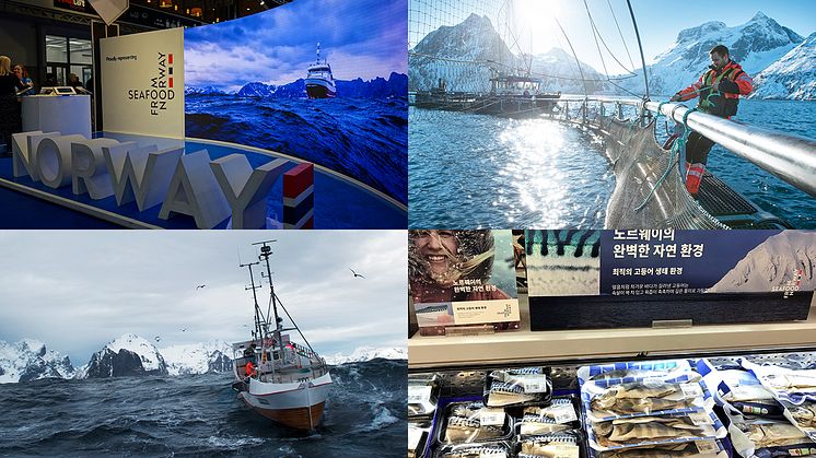 Photo credit: the Norwegian Seafood Council
