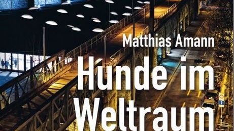 Matthias Amann - Hunde im Weltraum - Erzählungen