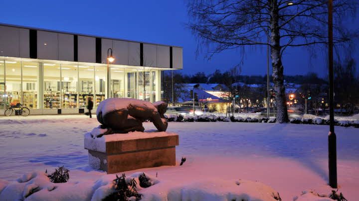 Små barns språkinlärning utvecklas i en inspirerande miljö och barn vill förstå och göra sig förstådda med andra människor, både barn och vuxna. Projektet Bokstart på Sunne Bibliotek sätter fokus på hur viktigt det är att läsa för sina barn.