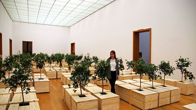 Yoko Ono. PEACE is POWER - Blick in die Ausstellung im Museum der bildenden Künste Leipzig