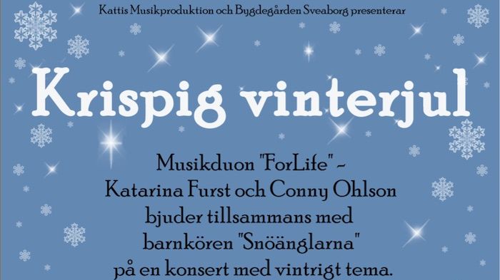 ​Krispig vinterjul med musikduo och barnkör i Spannarboda