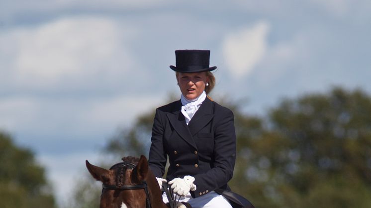 Malmö City Horse Show - i år med 10 dagars hästfest 