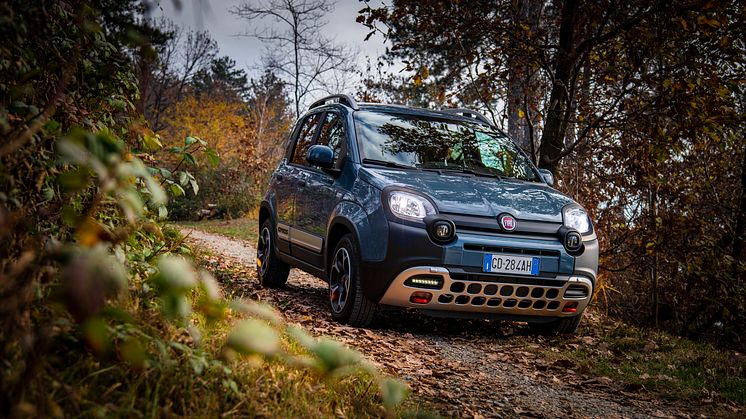 Fiat Panda Cross