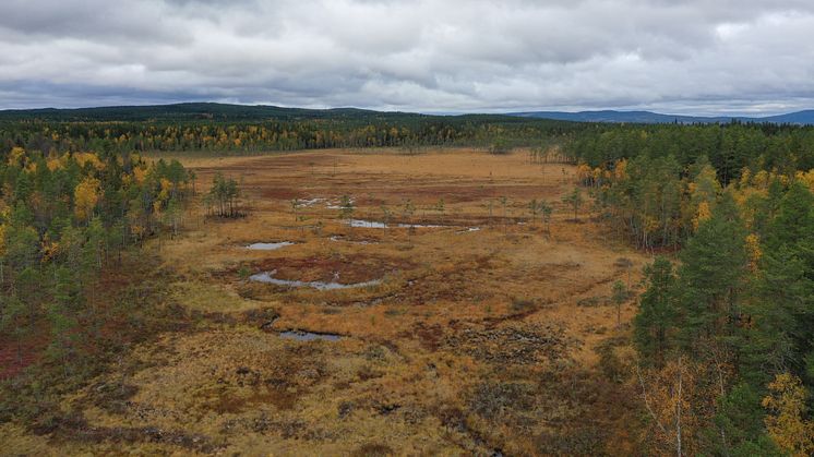 Våtmarksarbete har genomförts på en yta som motsvarar cirka 170 fotbollsplaner i Värmland, enligt 2022 års sammanställning. 