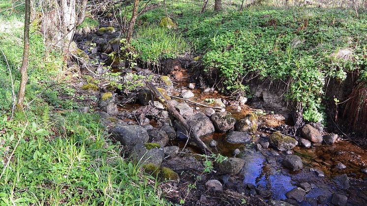 Lurabäcken vid sjön Viken. Ett av många områden som nu får en slant för lokala naturvårdsprojekt (LONA). Foto: Matilda Lundh Åkervall