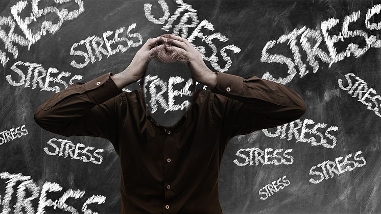 Ny studie om stress, tarmflora och typ 2-diabetes